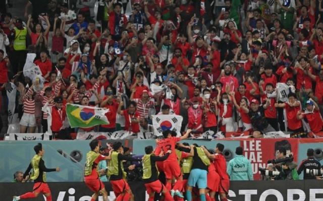 1670022576290033682.jpg hanguo.jpg