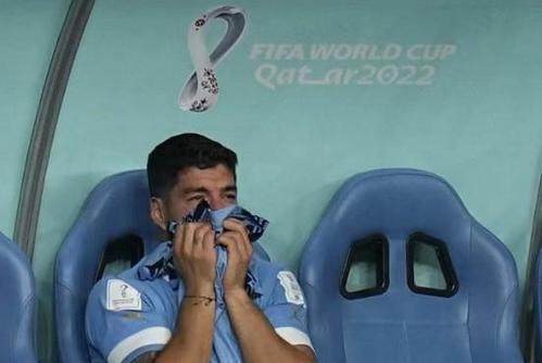 1670022597798056947.jpg 乌拉圭.jpg